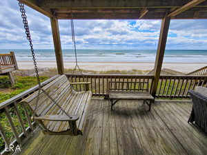 Dolphin Den image