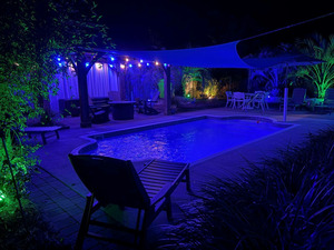 Nemo Place - O Night Photos 