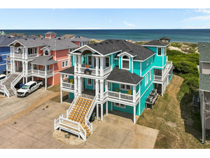 Turquoise Turtle 6099 image