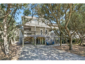 SA028-Sanderling Song